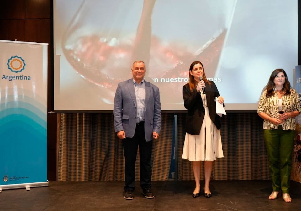 Promoción De Mendoza Como Destino Turístico, Gastronómico Y Vinícola 